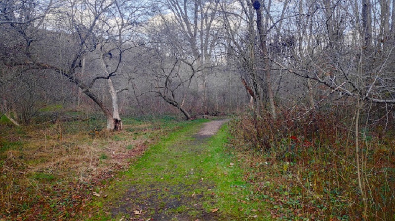 Hiking at the Blue Spruce Park