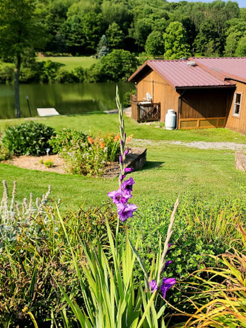 Master Gardener’s Demonstration Garden